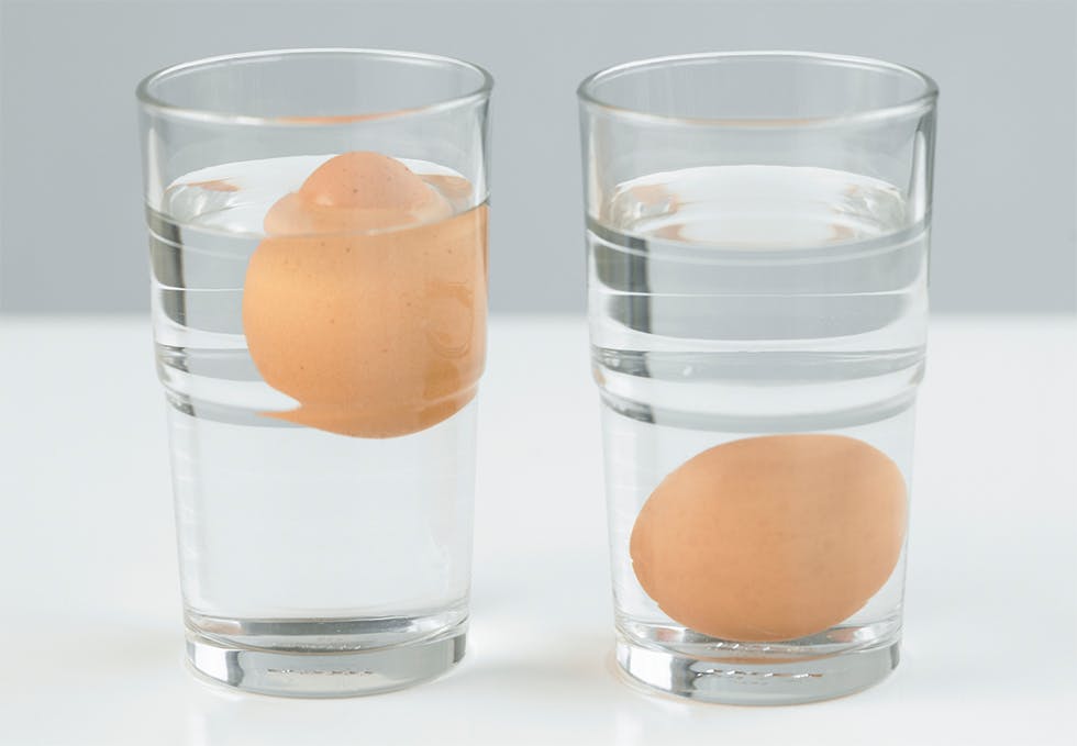 Gode eller dårlige egg?